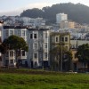 Climbing Trees in Alamo Square Park