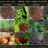 San Francisco Bay Area Winter Food Garden Planting Schedule