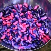 Magic Scarlet Runner Beans